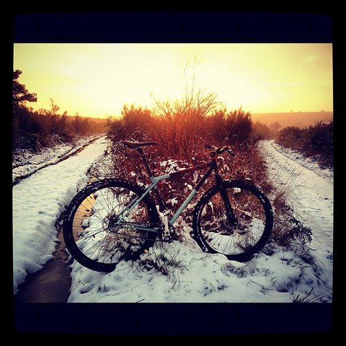 Neige Neige
