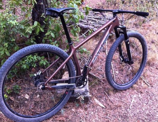 Santa Cruz Chameleon