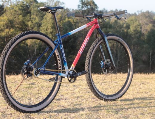 Ritchey P-29er