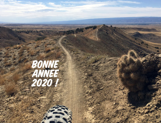bilan 2019