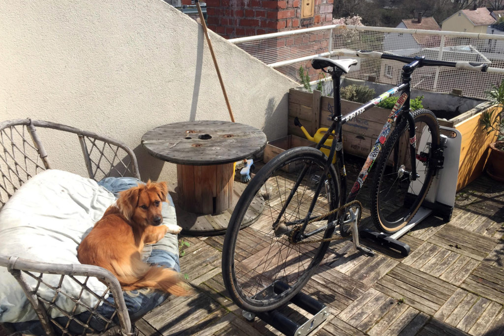 Home trainer et singlespeed